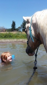 Creek Fun With Horses